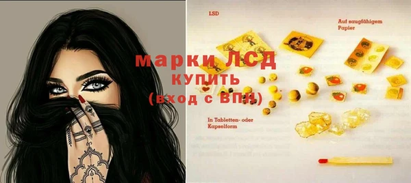 твердый Абаза