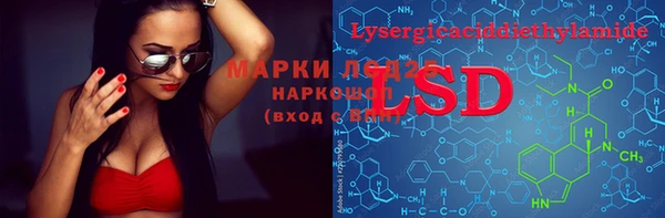 PSILOCYBIN Абдулино