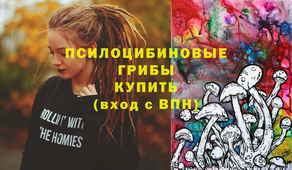 твердый Абаза