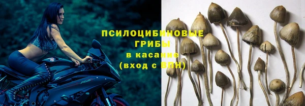твердый Абаза
