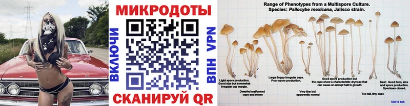 Галлюциногенные грибы MAGIC MUSHROOMS  KRAKEN ONION  Сысерть  закладка 