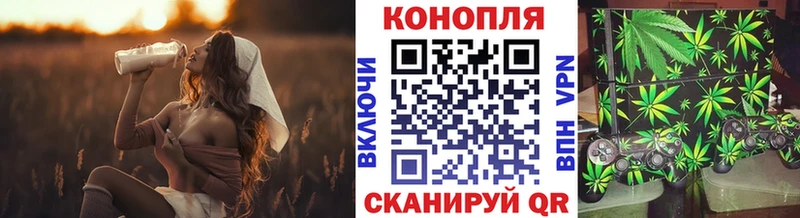 наркошоп  Сысерть  Конопля планчик 